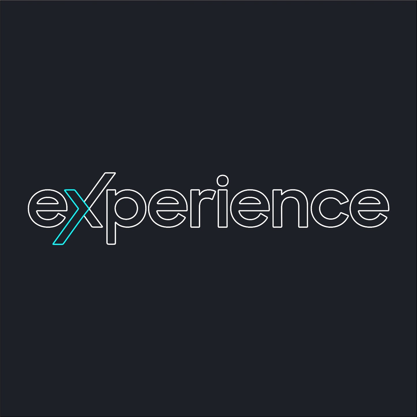Experience Neon Sign