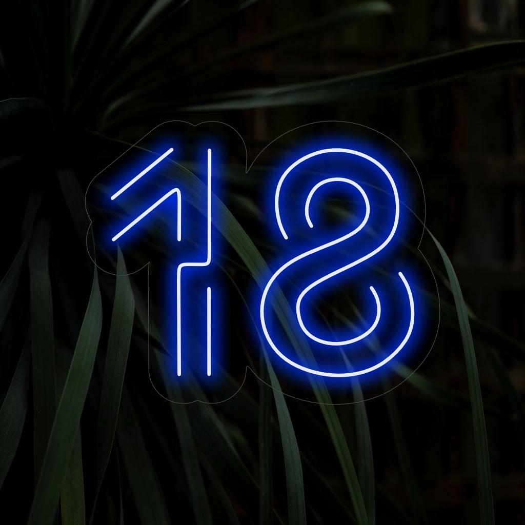 "18th Birthday Neon Sign" is een levendige en feestelijke toevoeging met het getal 18 in een levendig en leuk ontwerp. Perfect om de speciale mijlpaal van 18 jaar te vieren.