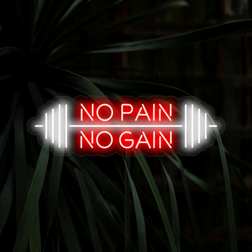 "Barbell and No Pain - No Gain Neon Sign" - Een motiverend neonlicht met een halterstang en de krachtige tekst "No Pain - No Gain". Dit zorgt voor motivatie en vastberadenheid in uw trainingsruimte of sportschool.
