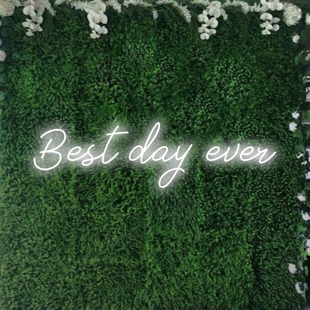 Bright Best Day Ever LED-neonreclame; veelzijdige, op maat gemaakte decoratie die positiviteit en vreugde inspireert.