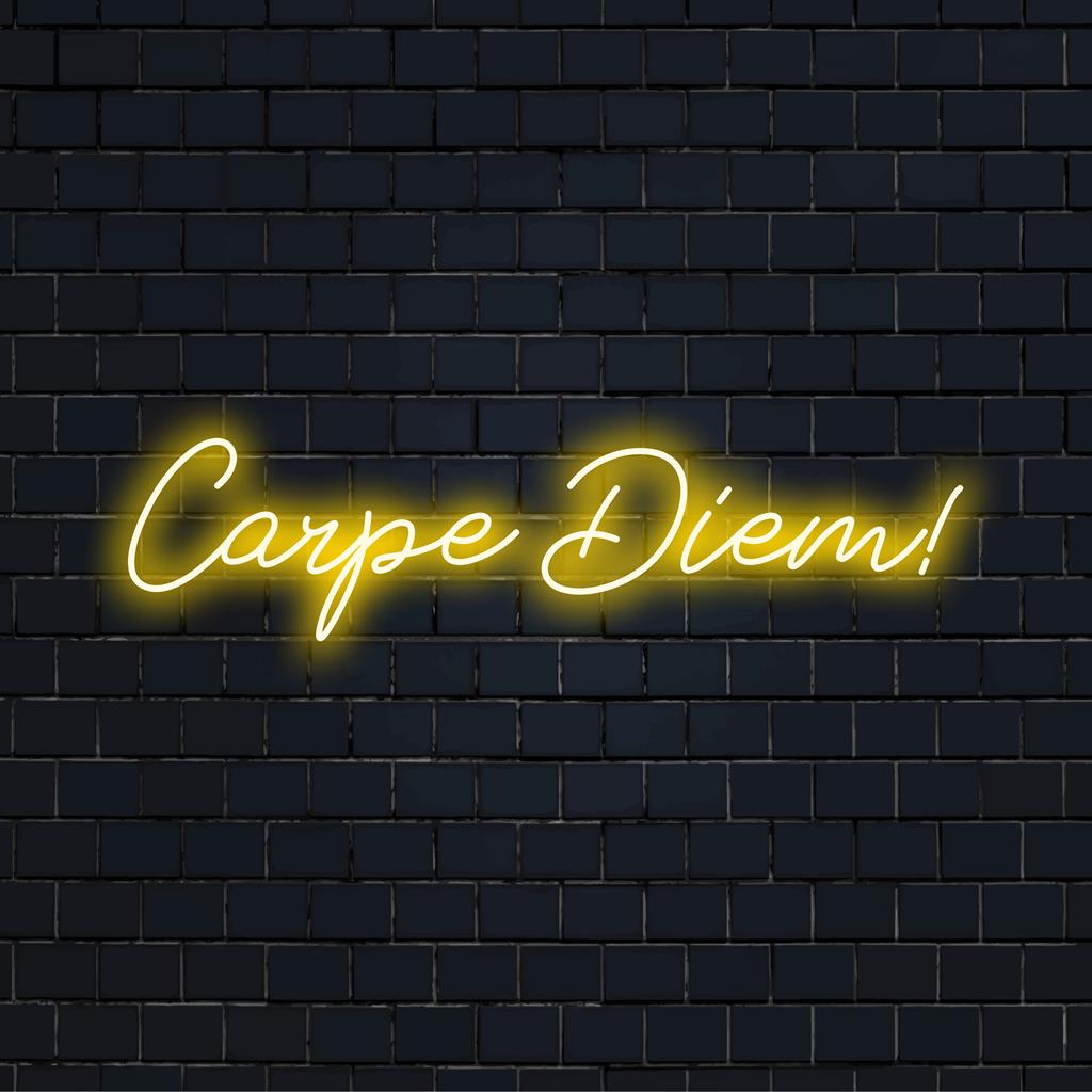 Handgemaakt LED-neonbord met de tekst Carpe Diem!, perfect voor een motiverend neonlichtdisplay in elke ruimte.
