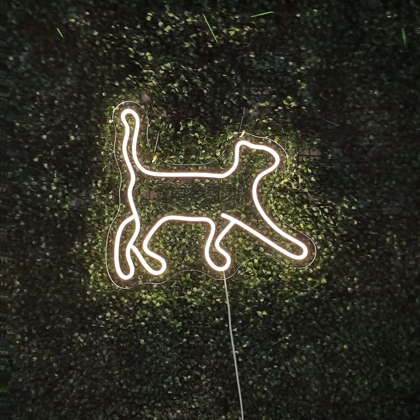 Neonreclame met kat - The Art Neon
