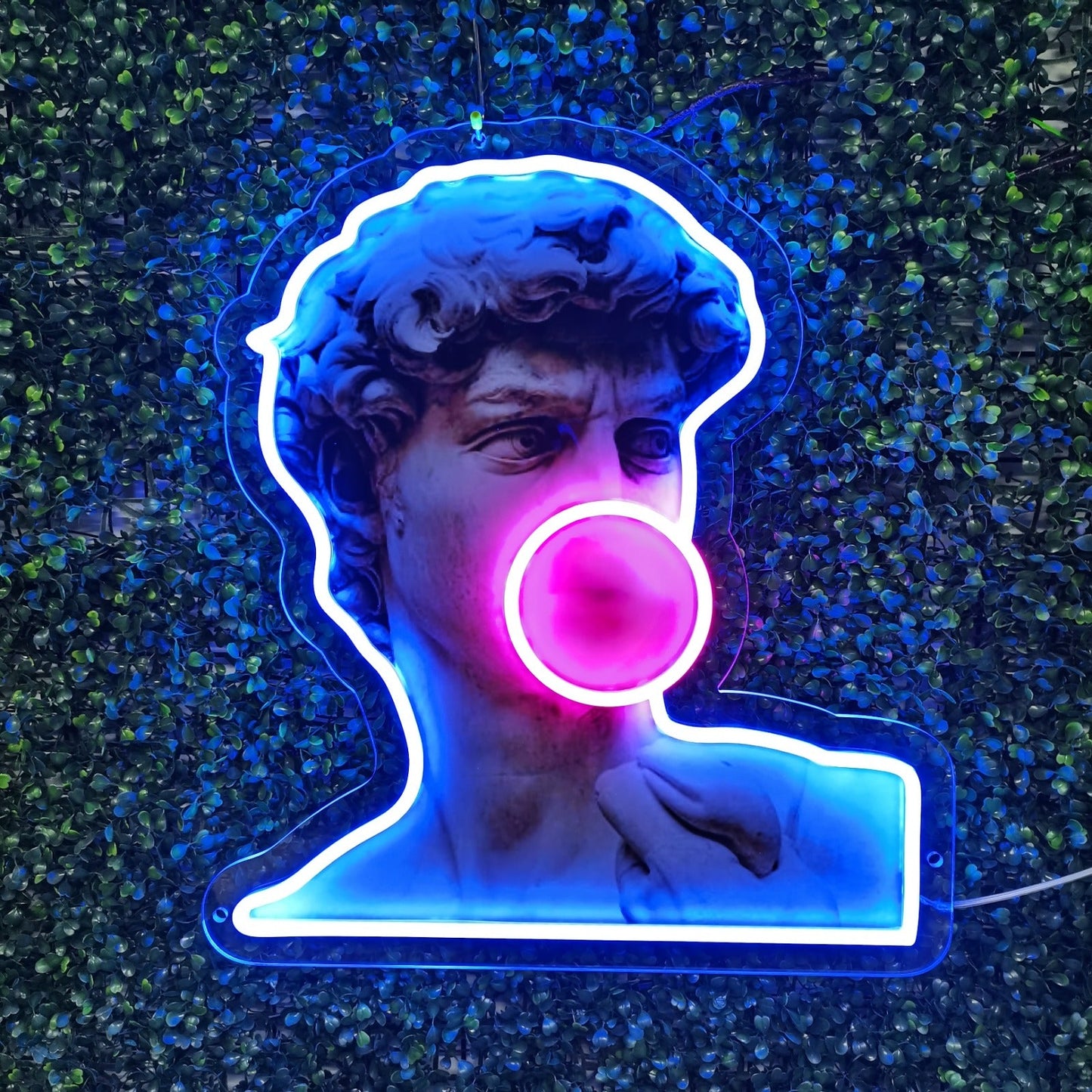David Like Popo UV-print LED-neonreclame - The Art Neon