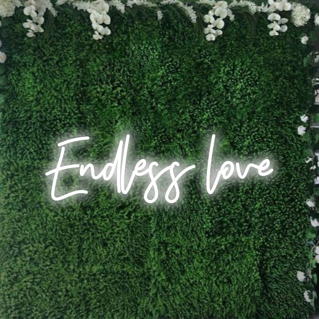 Op maat gemaakt LED-neonbord met de tekst Endless Love in levendige kleuren, perfect voor gepersonaliseerde neondecoraties in elke omgeving.