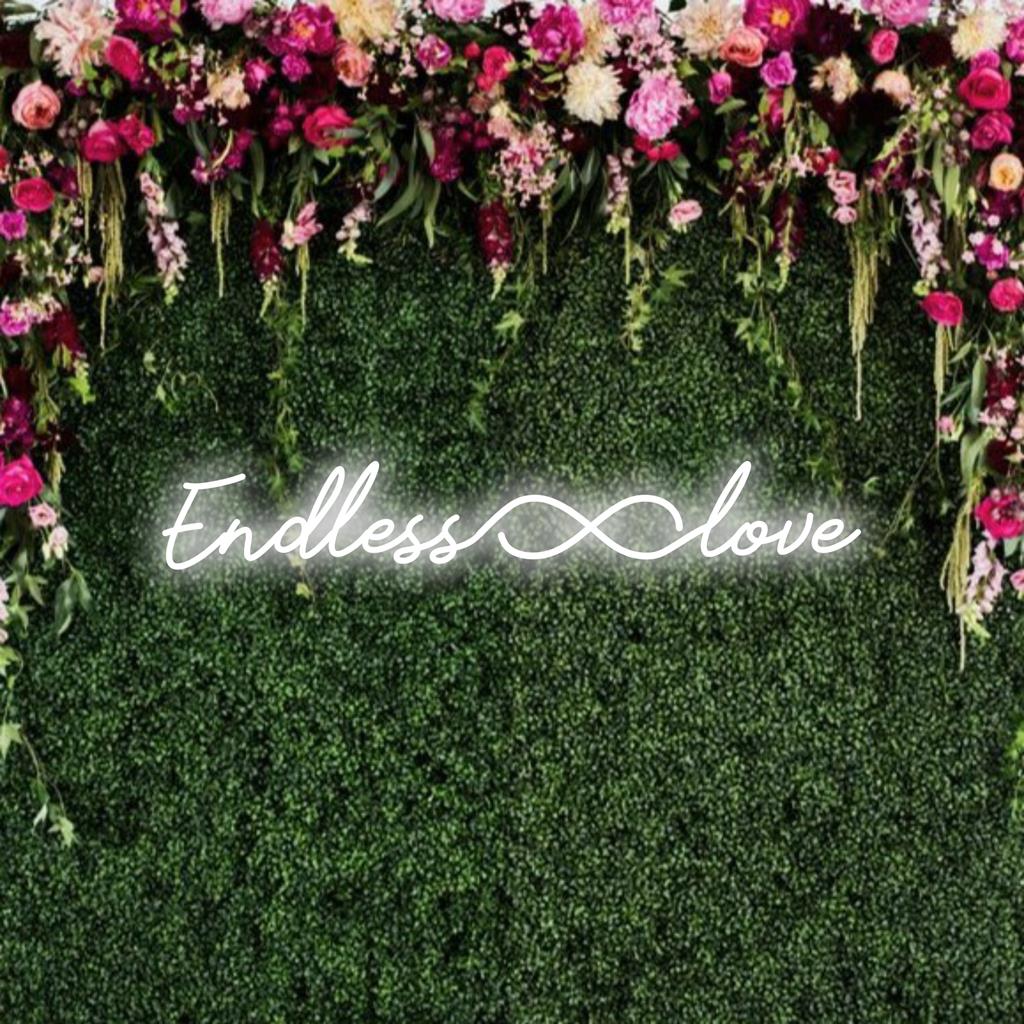 LED-neonreclame met een oneindigheidssymbool en de tekst Endless Love, perfect voor op maat gemaakte neonmuurkunst en decoratie.