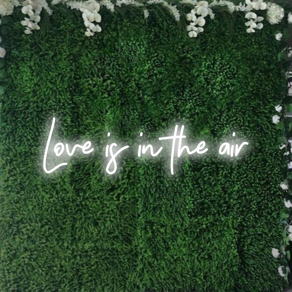 Levendig LED-neonbord met de tekst Love Is In The Air, ideaal voor een stralende decoratie en het creëren van een romantische sfeer.