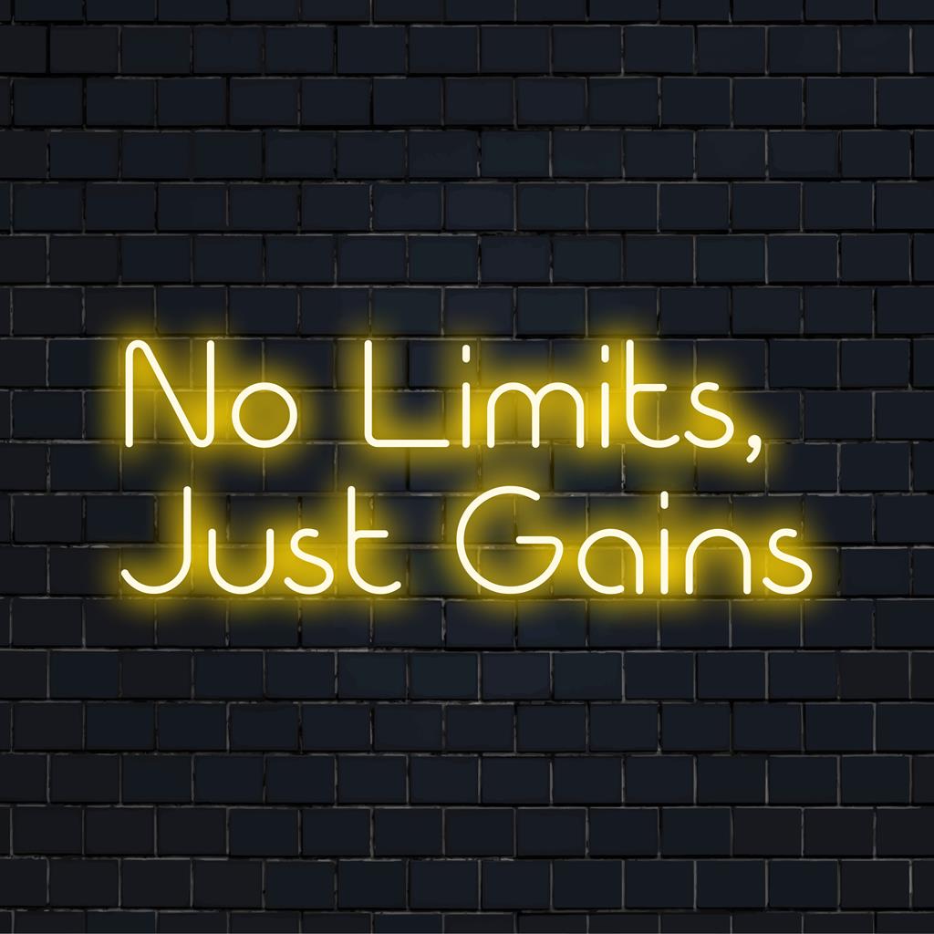 Op maat gemaakt LED-neonbord met de tekst No Limits, Just Gains; levendige gloed, perfect als motiverende decoratie of persoonlijke statement in de sportschool.