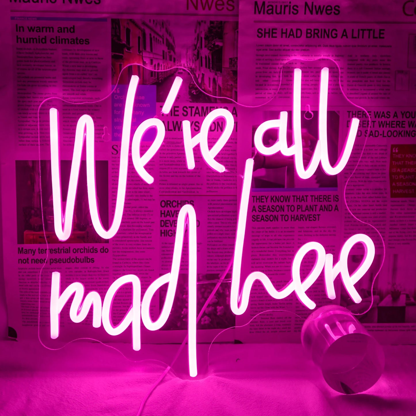 Een oplichtend LED-neonbord met de tekst "We're All Mad Here" in een speels, cursief lettertype.