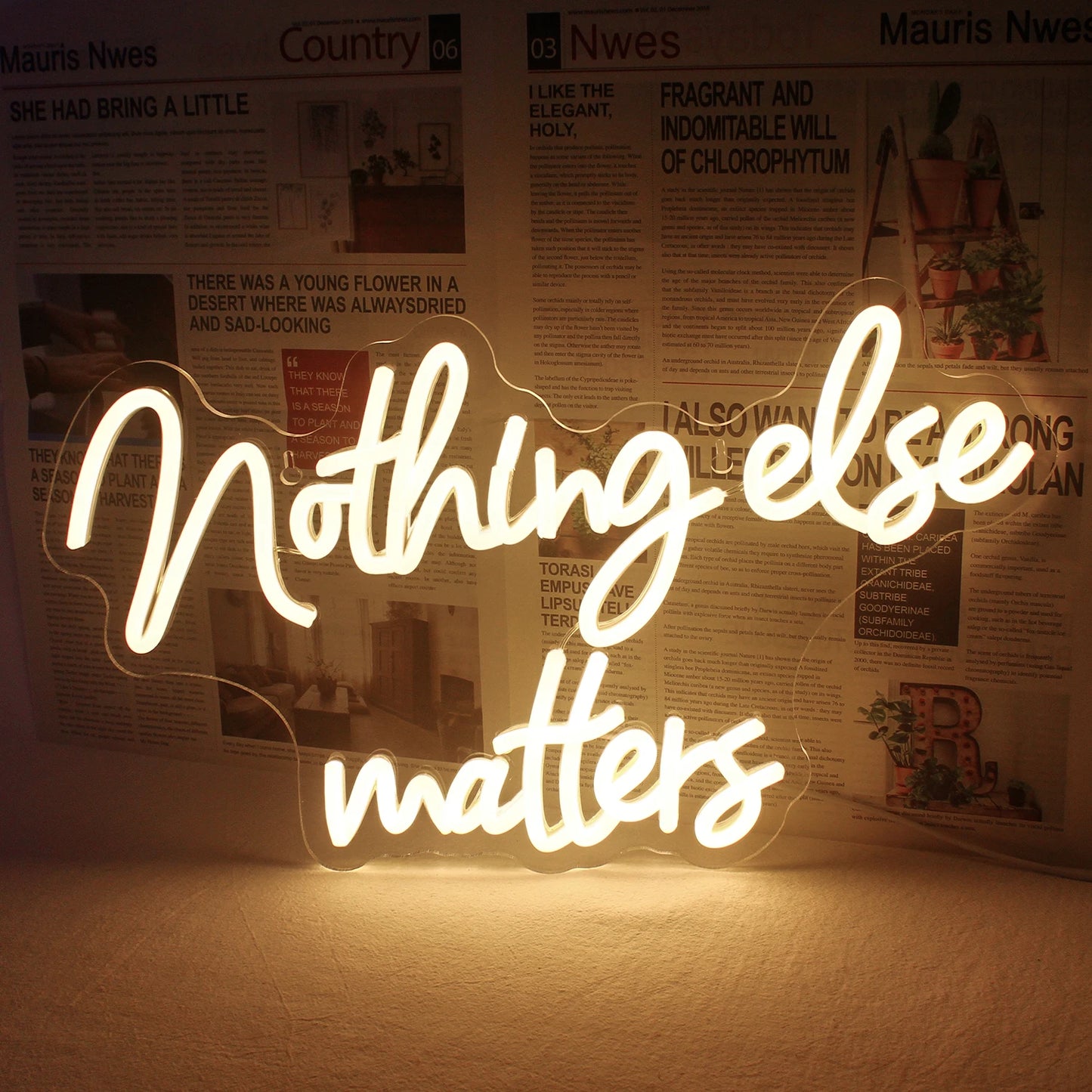 Een opvallend, gloeiend LED-neonbord met de tekst "Nothing Else Matters" in een stijlvol, cursief lettertype.