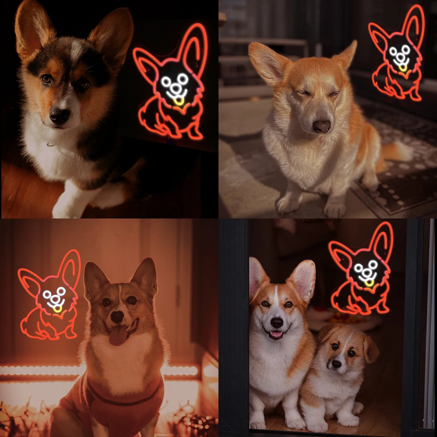 Corgi Dog Rood 5V USB LED Neon Sign - Budgetvriendelijk
