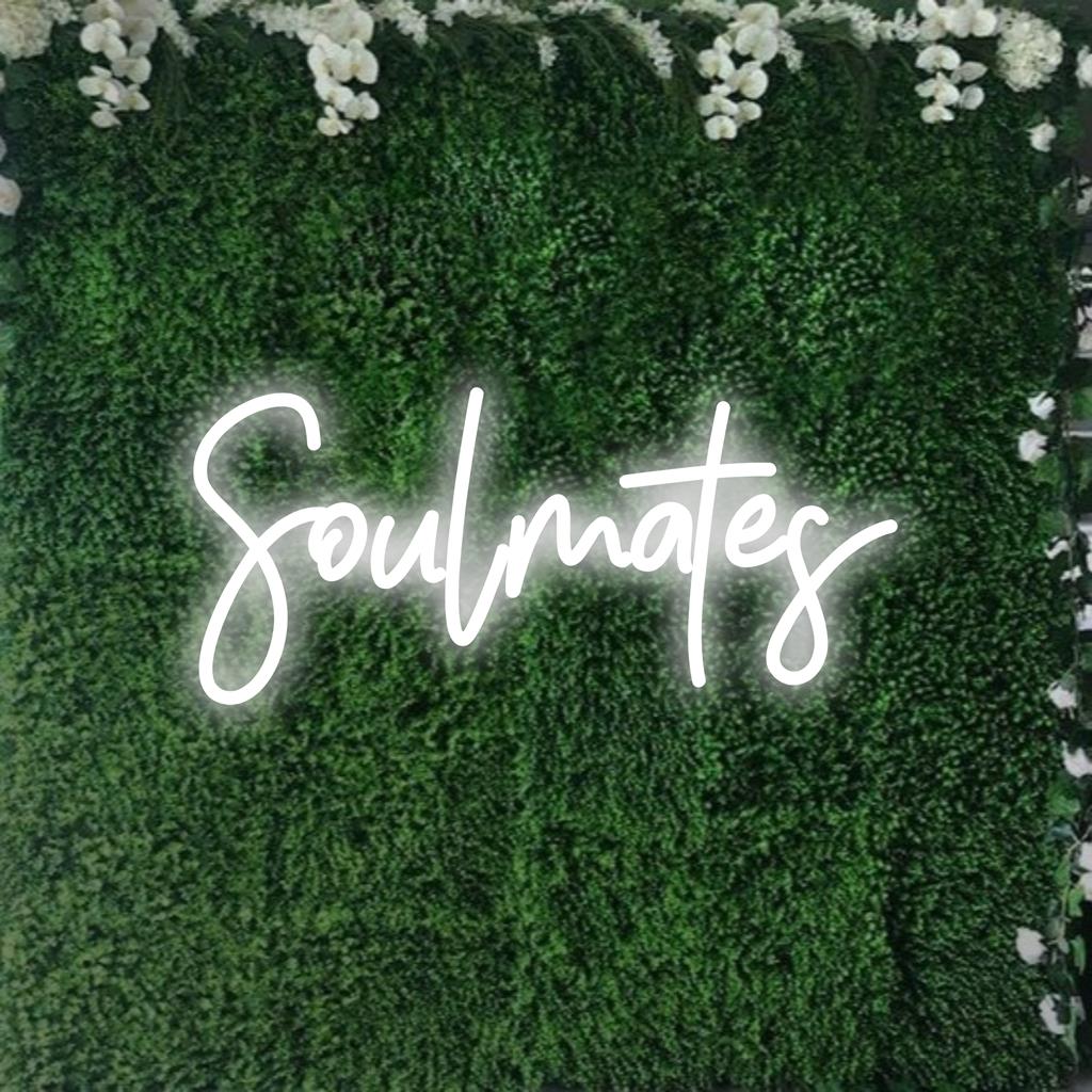 Kleurrijk, op maat gemaakt LED-neonbord met het woord Soulmates dat fel oplicht, perfect voor gepersonaliseerde neonlichtdecoratie.