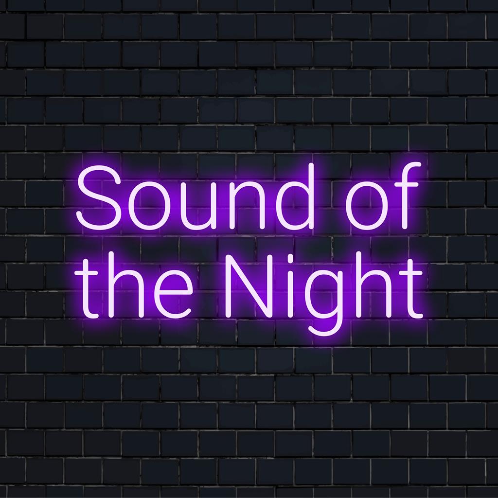 LED-neonbord met de titel Sound Of The Night met levendige lichtkunst, perfect voor een gepersonaliseerde decoratie.
