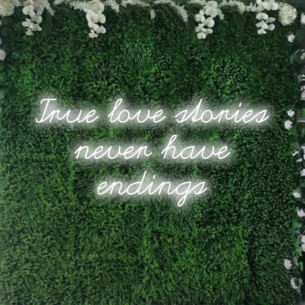 Een levendig LED-neonbord met de tekst True Love Stories Never Have Endings, perfect voor een gepersonaliseerde decoratie; opvallend neonlicht.