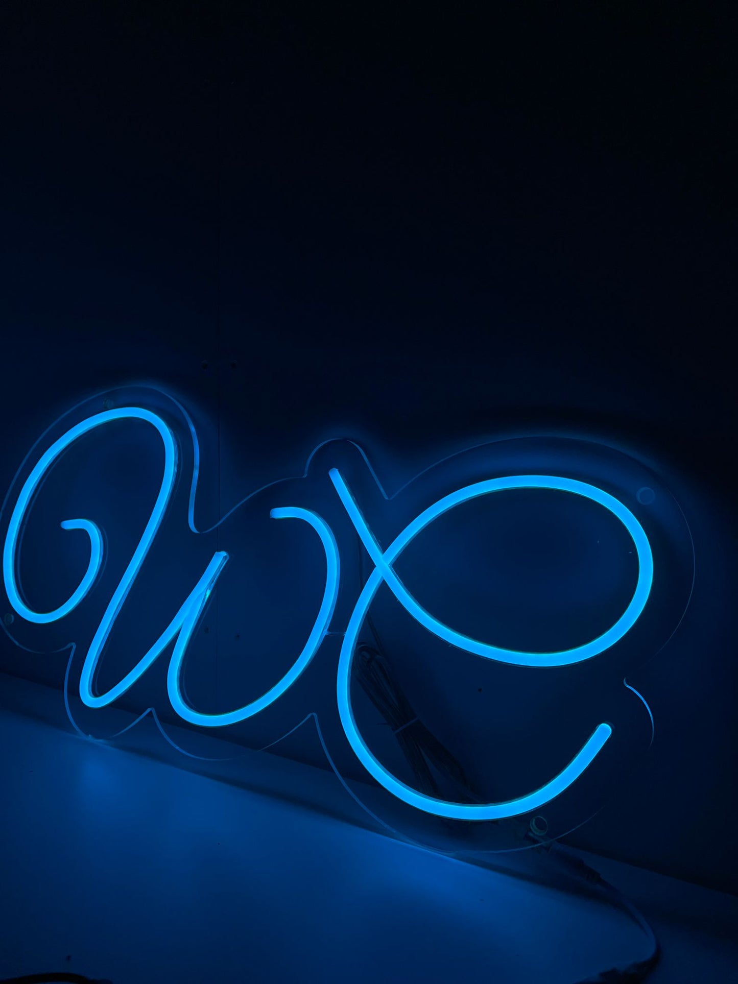 WC Neonreclame - The Art Neon
