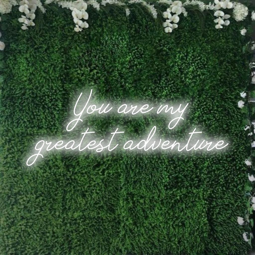 Speciaal ontworpen LED-neonbord met de tekst You Are My Greatest Adventure, perfect voor gepersonaliseerde neondecoraties.