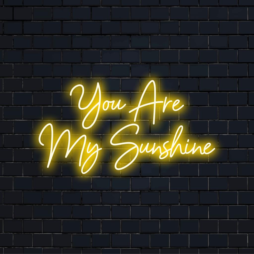 Een aangepast LED-neonbord met de tekst You Are My Sunshine; een levendige neondecoratie voor elke ruimte.