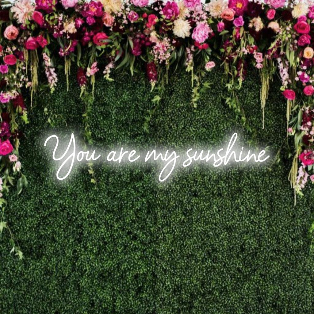 Een op maat gemaakt LED-neonbord met de tekst You Are My Sunshine in felgeel. Dit geeft uw ruimte een warme, persoonlijke touch.