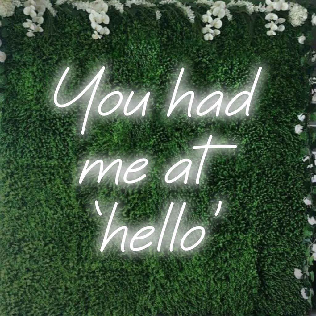 Op maat gemaakt LED-neonbord met de tekst You Had Me At 'Hello', perfect voor een gepersonaliseerde en stijlvolle wanddecoratie.