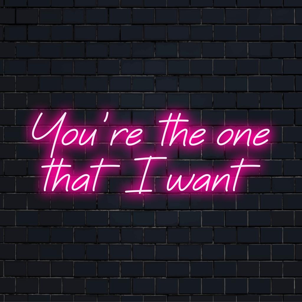 Op maat gemaakt LED-neonbord met de tekst 'You're The One That I Want' in een elegant lettertype, ideaal voor gepersonaliseerde neondecoraties.