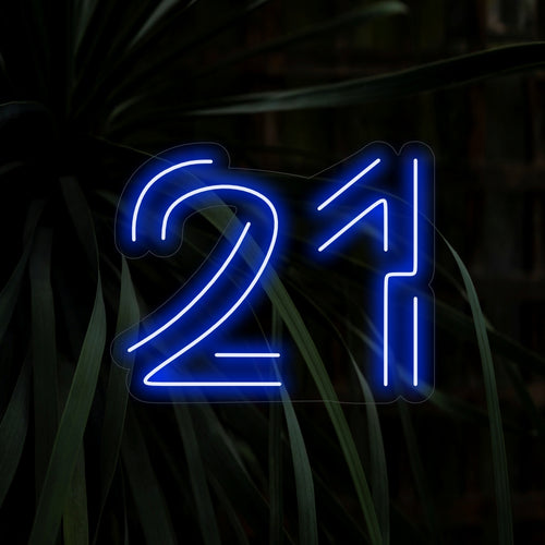 "21 Twenty One Neon Sign" is een stijlvol en feestelijk ontwerp met het getal 21. Perfect om een ​​vleugje opwinding toe te voegen aan de viering van een belangrijke verjaardag.