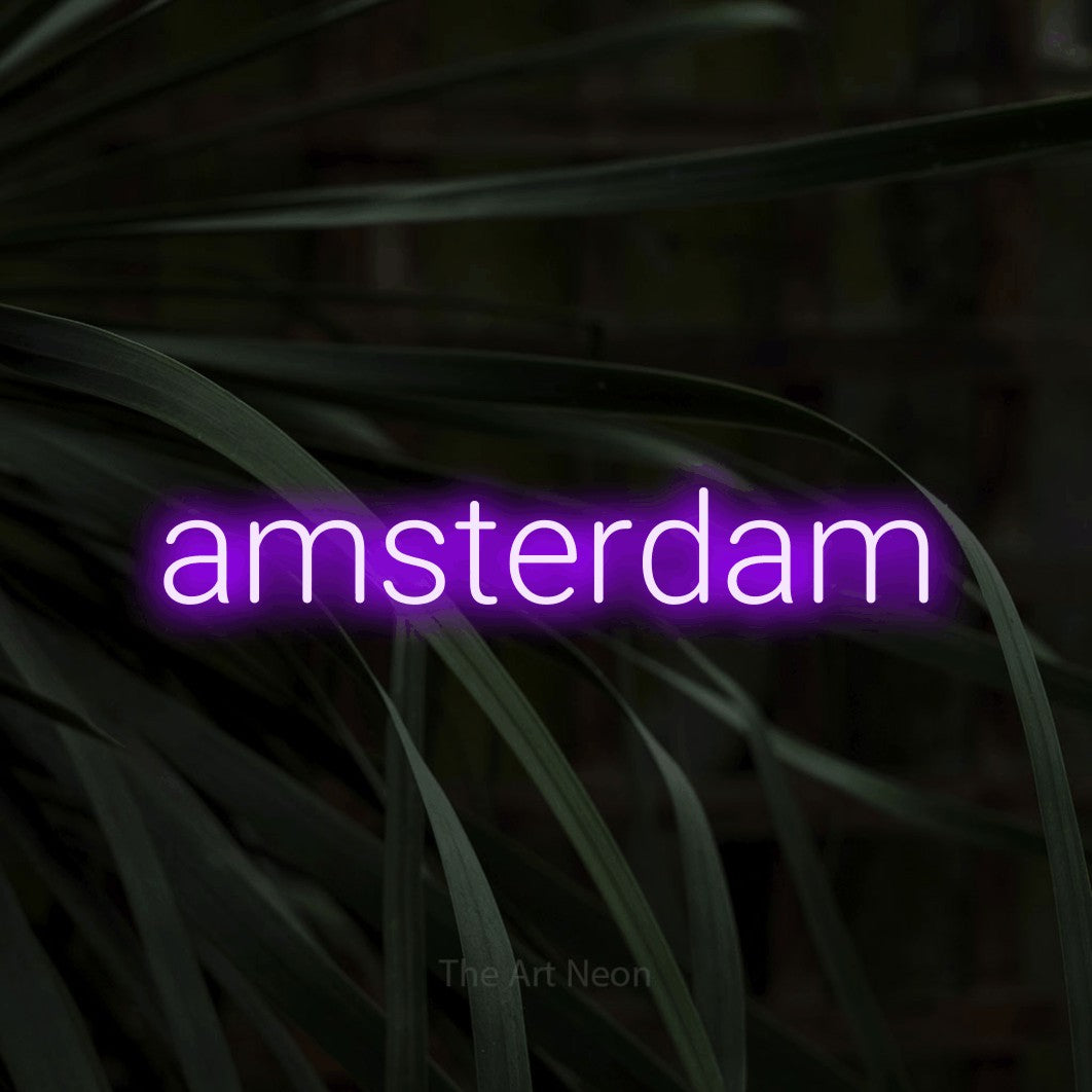 LED neon sign reading “amsterdam”, arranged in a single line.