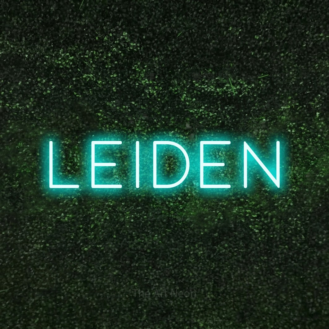 LED neon sign reading “Leiden”, arranged in a single line.