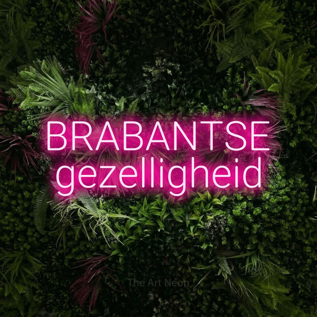 LED neon sign reading “BRABANTSE gezelligheid”, arranged in 2 lines.