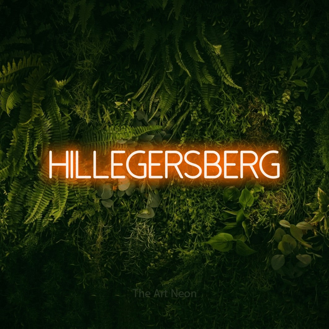 LED neon sign reading “Hillegersberg”, arranged in a single line.