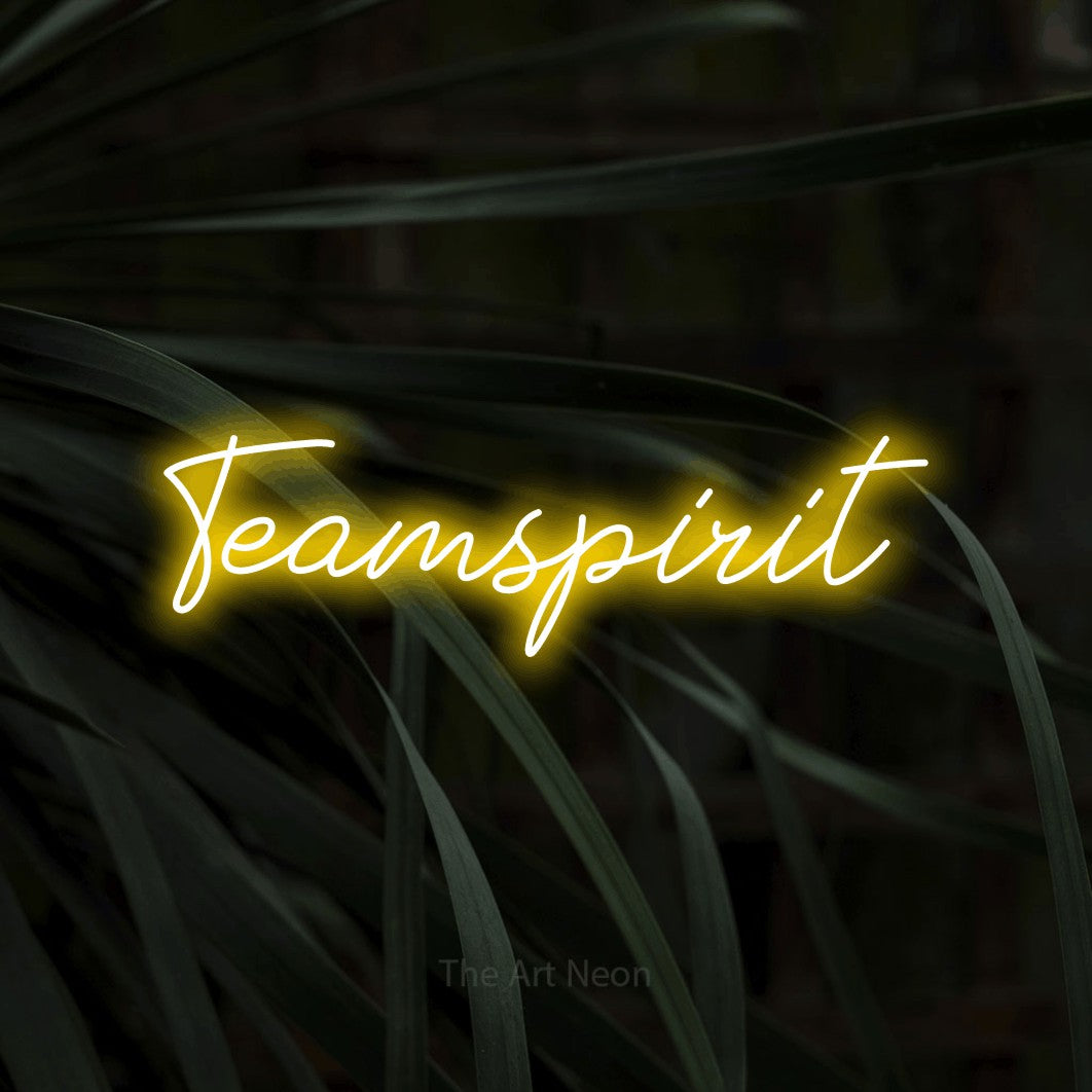 LED neon sign reading “Teamspirit”, arranged in a single line.