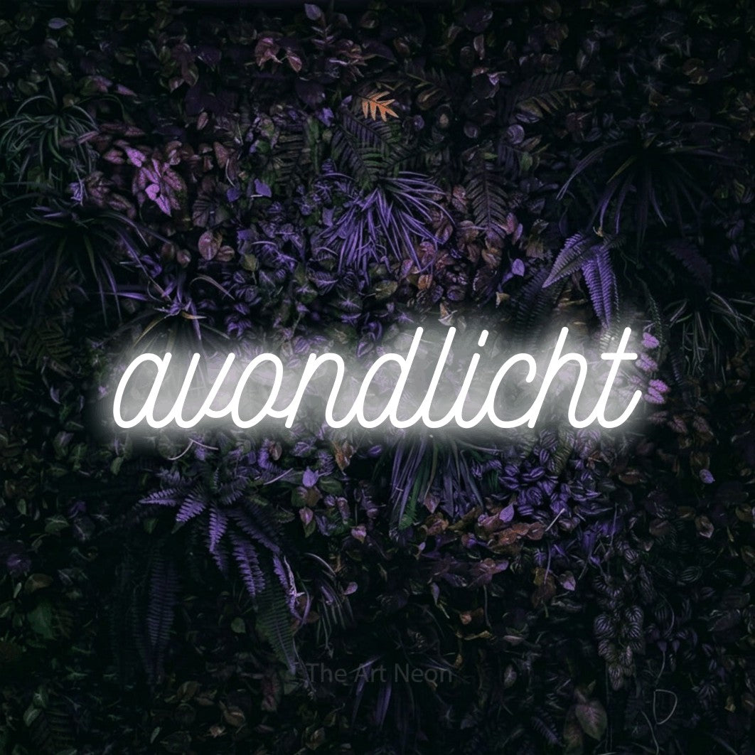 LED neon sign reading “avondlicht”, arranged in a single line.