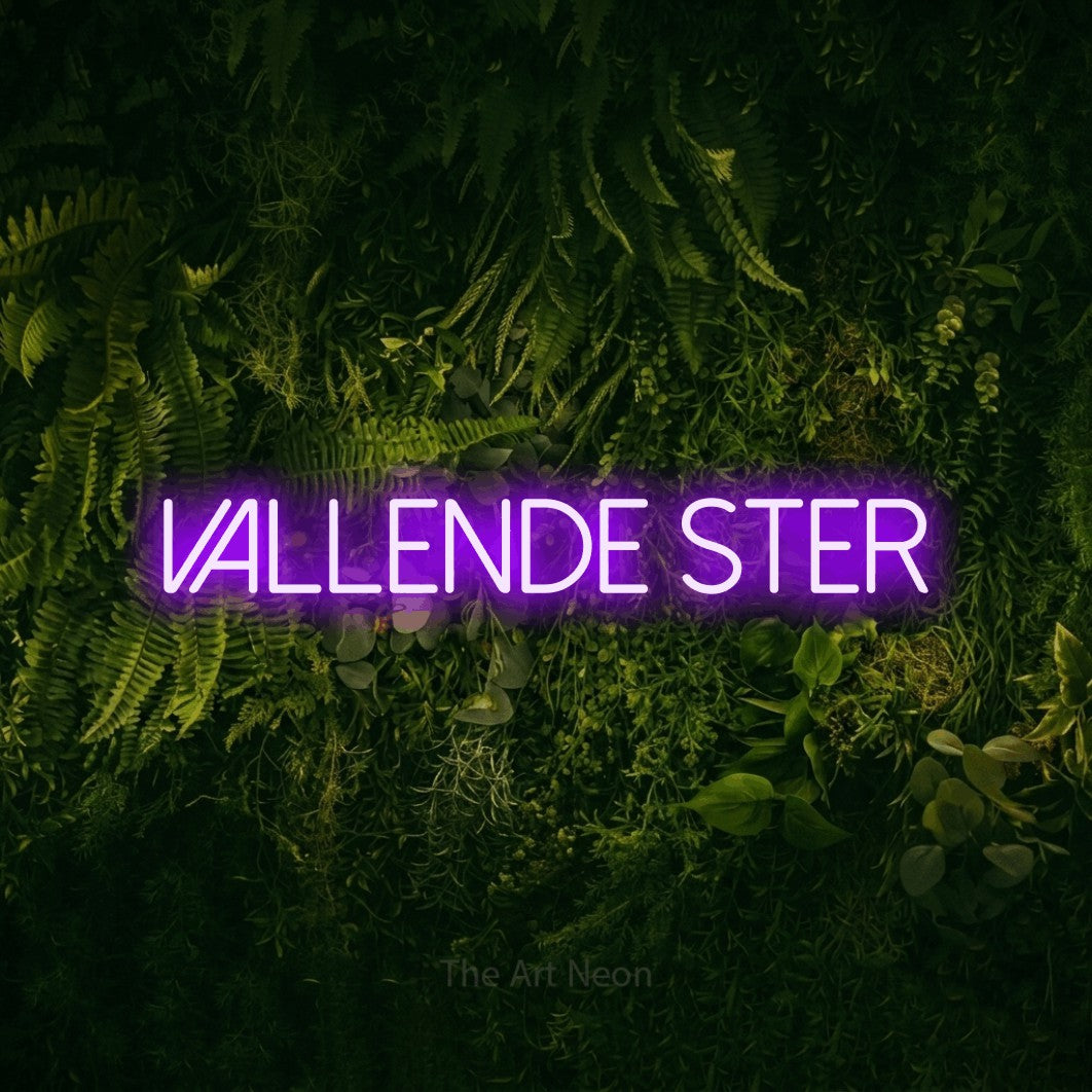LED neon sign reading “vallende ster”, arranged in a single line.
