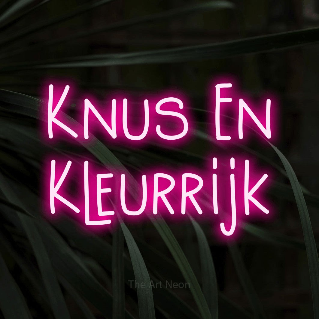 LED neon sign reading “Knus En Kleurrijk”, arranged in 2 lines.