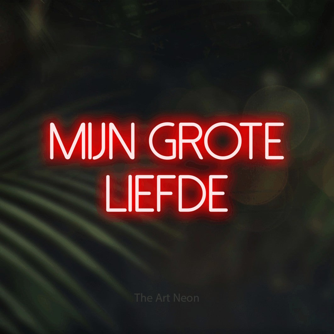 LED neon sign reading “mijn grote liefde”, arranged in 2 lines.