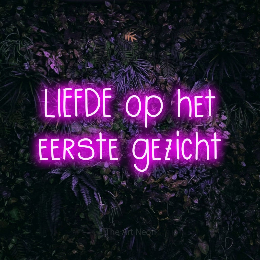 LED neon sign reading “LIEFDE op het eerste gezicht”, arranged in 2 lines.