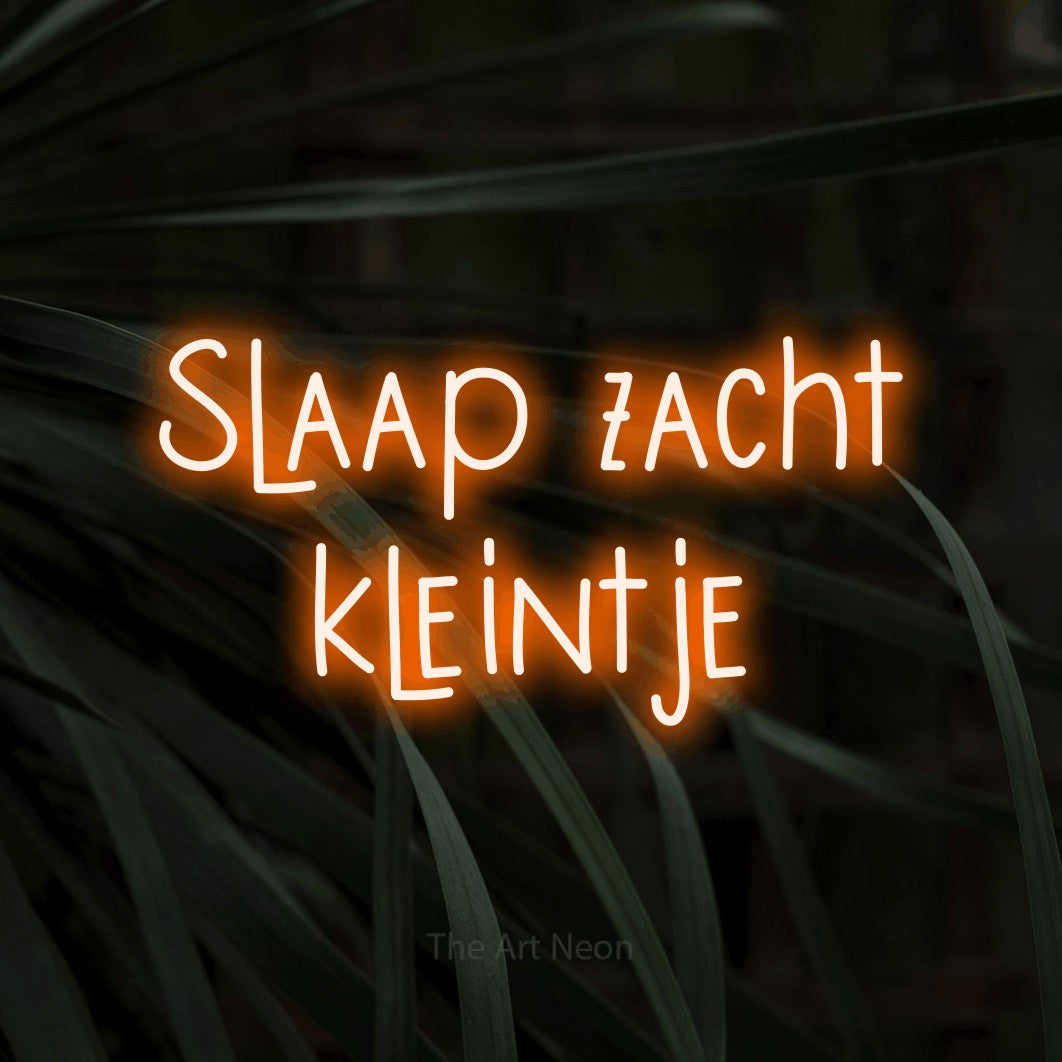 LED neon sign reading “Slaap zacht kleintje”, arranged in 2 lines.