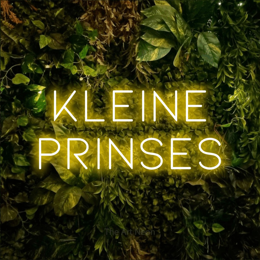 LED neon sign reading “kleine prinses”, arranged in 2 lines.
