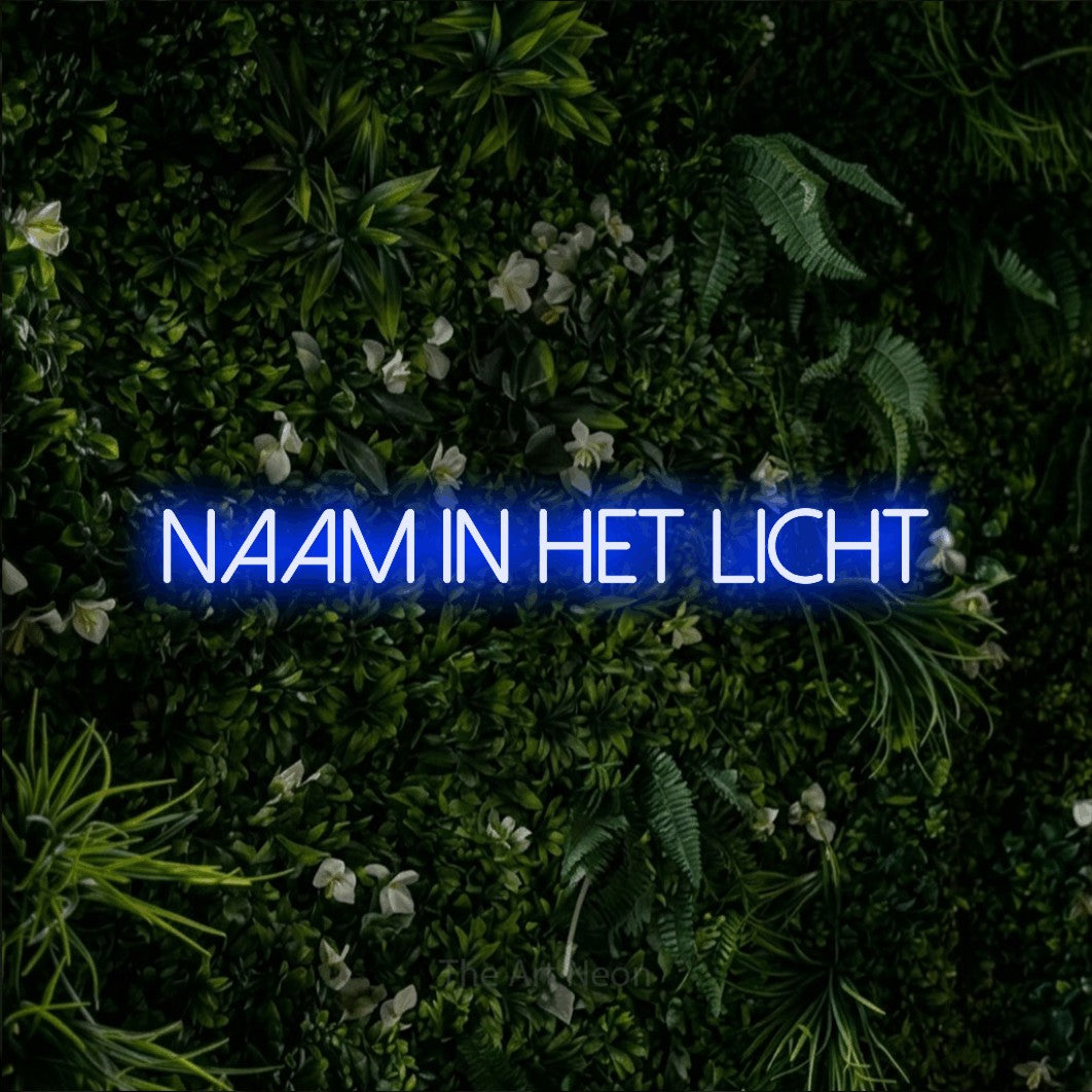 LED neon sign reading “NAAM IN HET LICHT”, arranged in a single line.