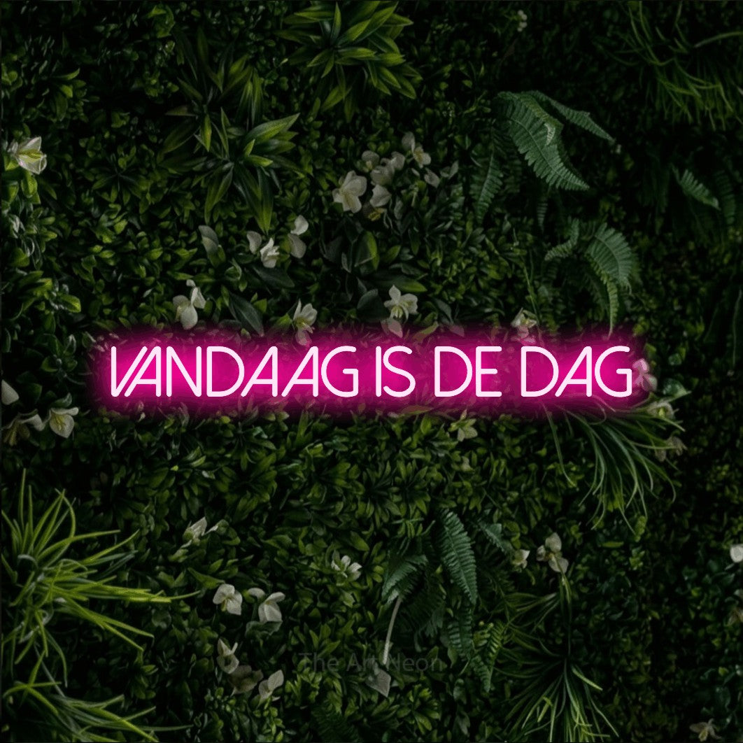 LED neon sign reading “vandaag is de dag”, arranged in a single line.