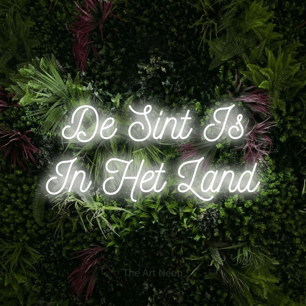 LED neon sign reading “De Sint Is In Het Land”, arranged in 2 lines.