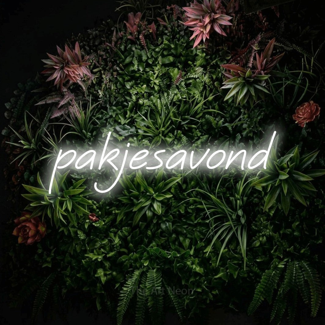 LED neon sign reading “pakjesavond”, arranged in a single line.