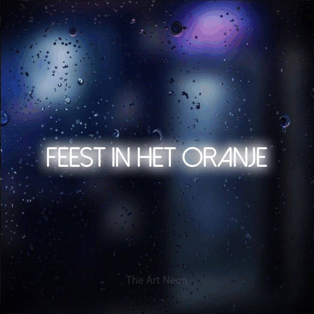 LED neon sign reading “feest in het oranje”, arranged in a single line.