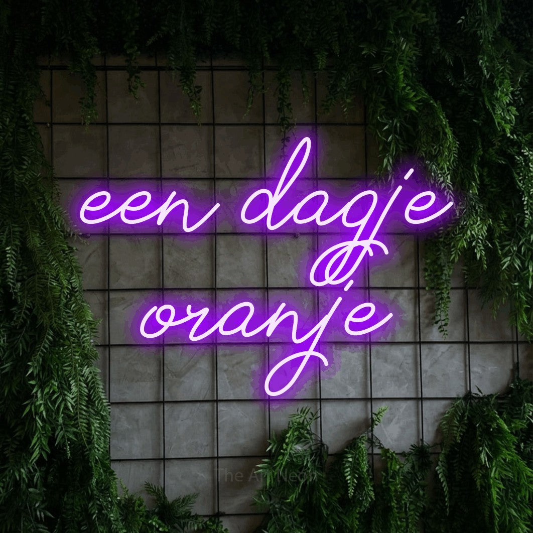 LED neon sign reading “een dagje oranje”, arranged in 2 lines.