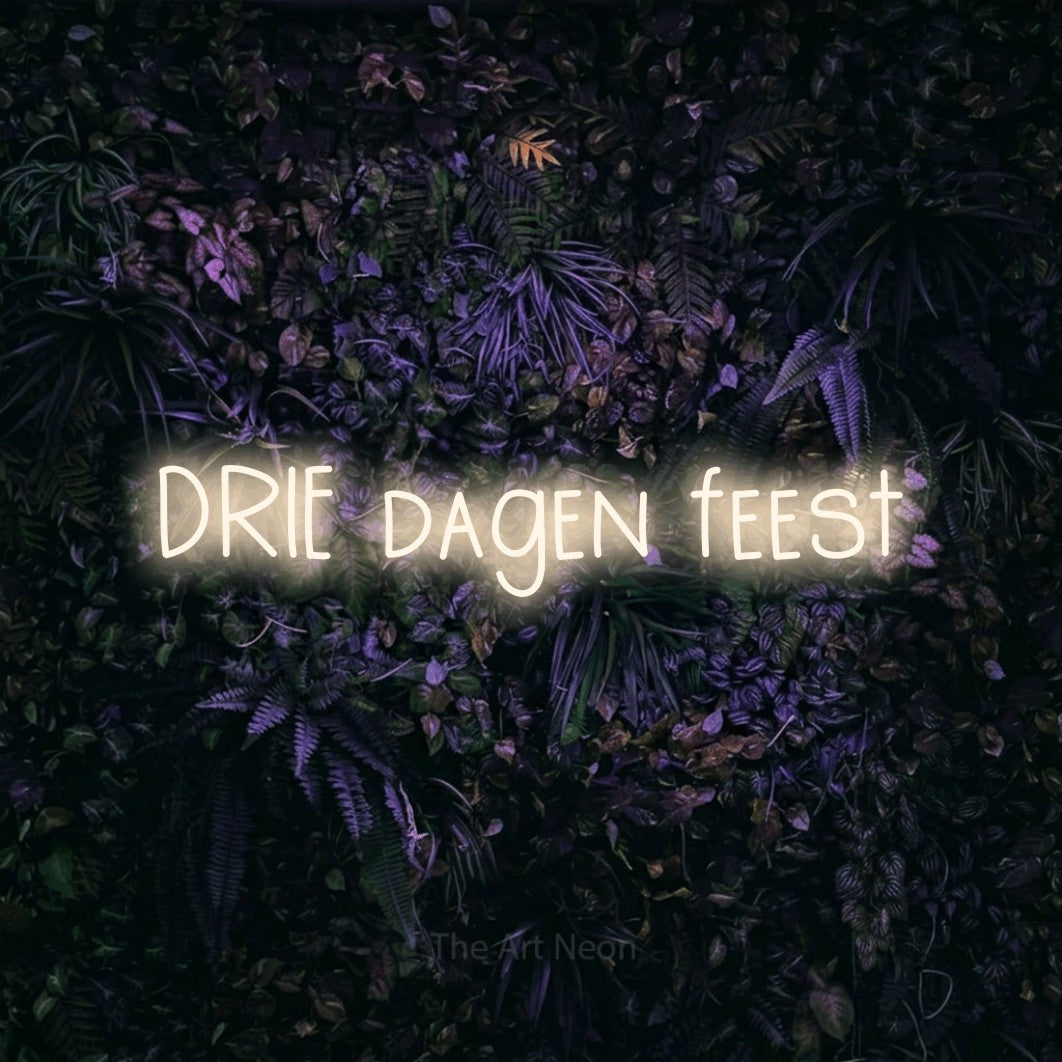 LED neon sign reading “DRIE dagen feest”, arranged in a single line.