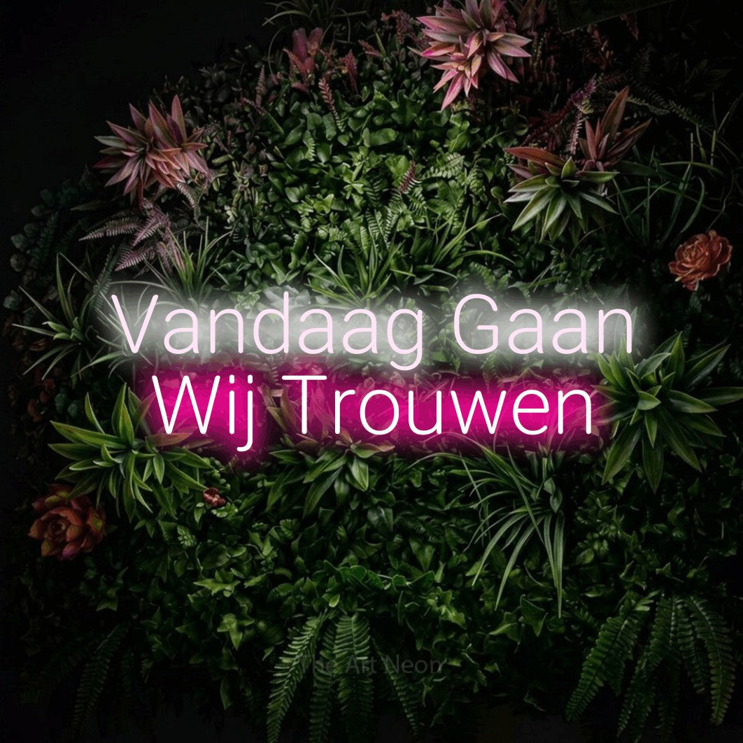 LED neon sign reading “Vandaag Gaan Wij Trouwen”, arranged in 2 lines.