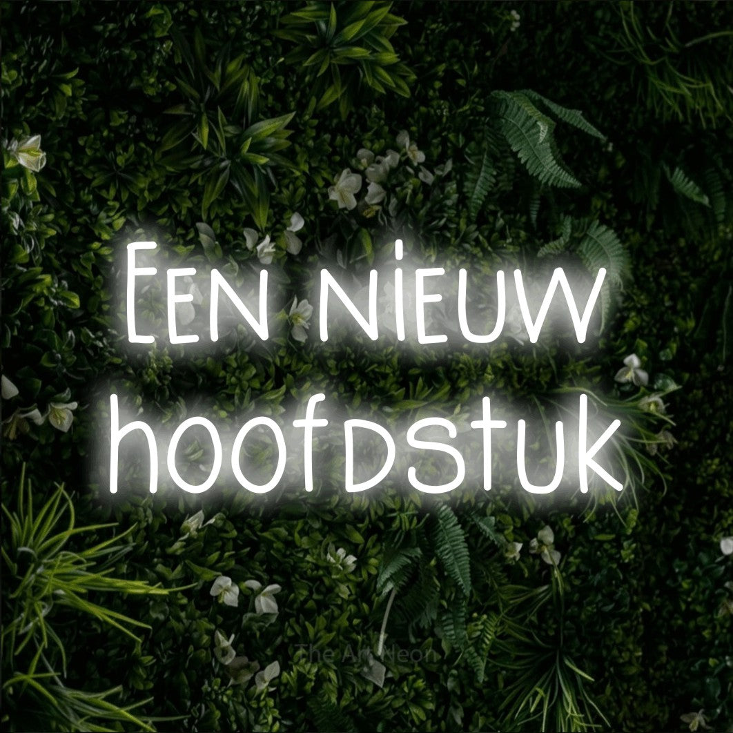 LED neon sign reading “Een nieuw hoofdstuk”, arranged in 2 lines.