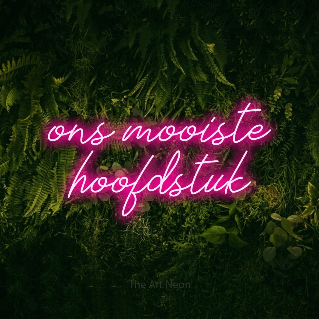 LED neon sign reading “ons mooiste hoofdstuk”, arranged in 2 lines.