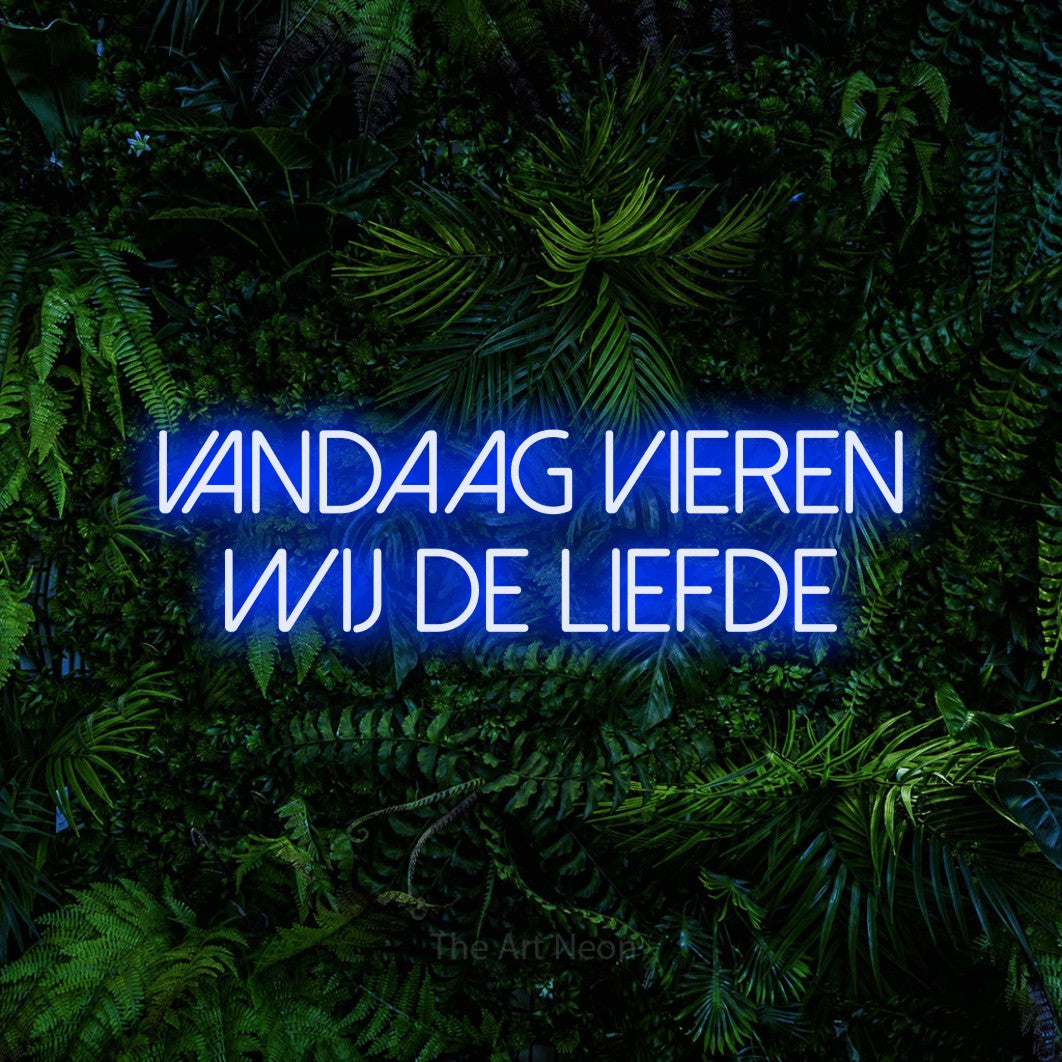 LED neon sign reading “Vandaag Vieren Wij De Liefde”, arranged in 2 lines.
