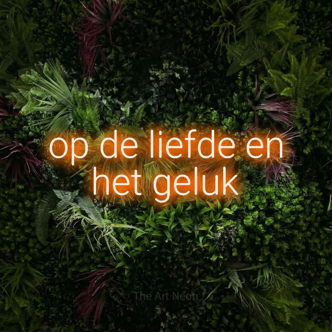 LED neon sign reading “op de liefde en het geluk”, arranged in 2 lines.