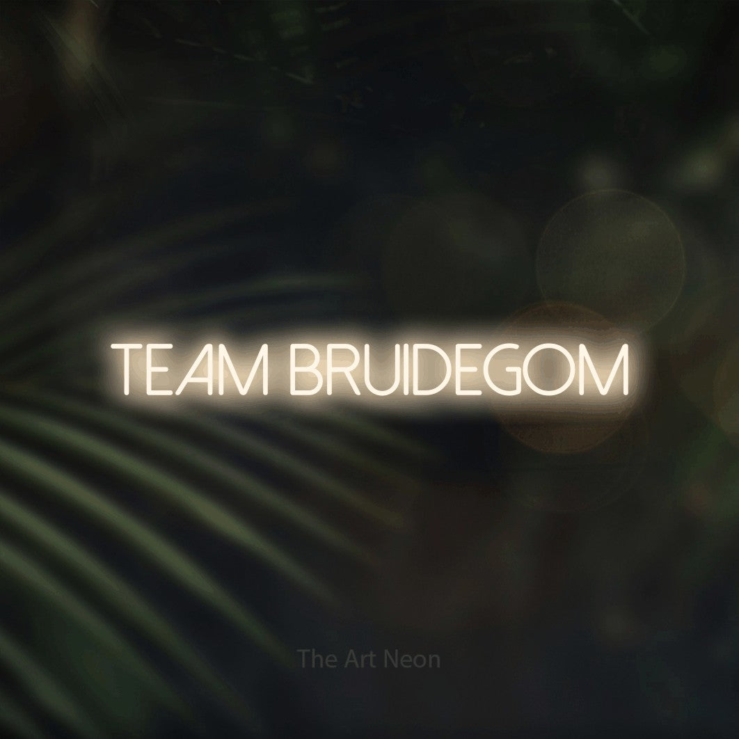 LED neon sign reading “TEAM BRUIDEGOM”, arranged in a single line.