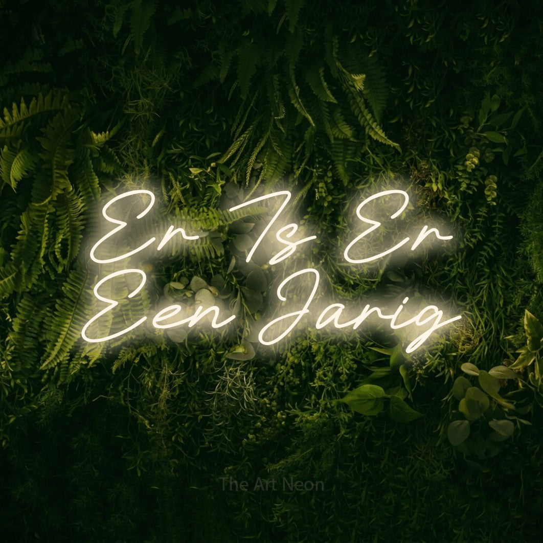 LED neon sign reading “Er Is Er Een Jarig”, arranged in 2 lines.